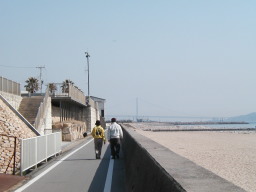 明石海浜サイクリングコース（藤江付近）